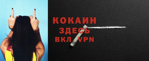 прущие крисы Вяземский