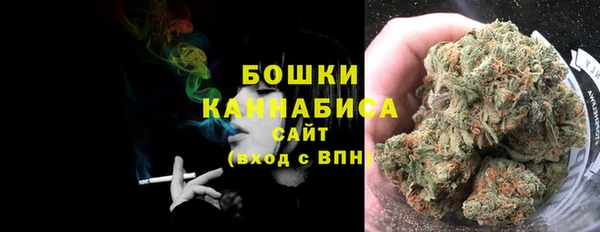 прущие крисы Вяземский