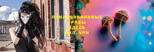 прущие крисы Вяземский