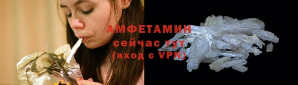 прущие крисы Вяземский