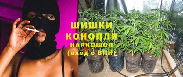 прущие крисы Вяземский